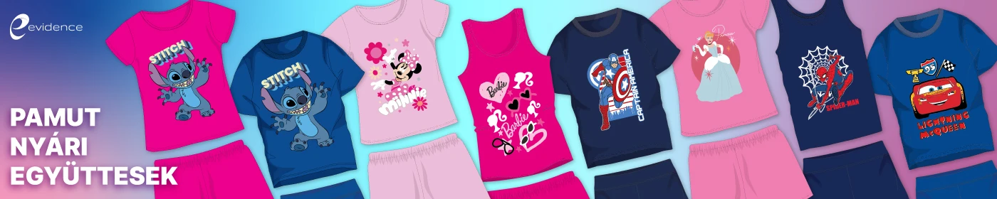 Disney nagykereskedés - evidence.hu