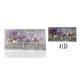 KÉP+4LED+ELF+3CSIP.LEV60*30