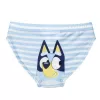 Costum de baie Bluey pentru băieți - 104