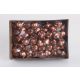 FOAM GOMBA*60 BRONZ       2