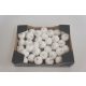FOAM ALMA*36 GL.HAVAS   3,5
