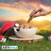 Pokemon sütis edény Pokéball