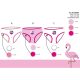Mutandine per neonata Flamingo - mutandine di cotone 3 pezzi - 110-116