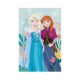 Disney Frozen fleece blanket - 100 x 150 cm
