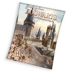   Harry Potter Hogwarts Korallen-Fleecedecke, 130 x 160 cm, 240 g/m² dickes, weiches Premium-Material