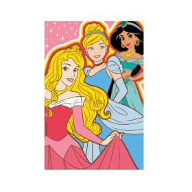 Disney Hercegnők polár takaró - 100 x 150 cm - 1 