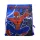 Spiderman WEB SWING Sporttasche, Turnbeutel